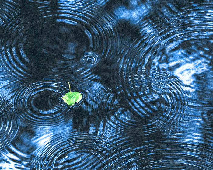 IARPP Australia Relational Psychoanalysis Psychotherapy Psychotherapist ripples